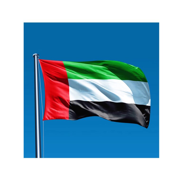 UAE Leaves OPEC And OPEC+ Amid Energy Tensions