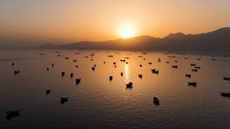 Oil Tanker Owners Fear Market Crash After Iran War Drove Record Profits